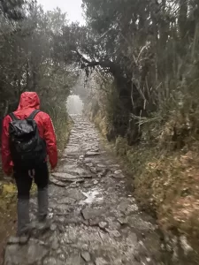 Machu Picchu Wet