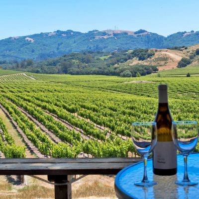 Sonoma Valley and Napa Valley Wine Tours